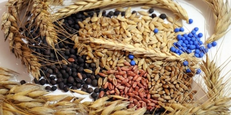 Bu haber hepimizi ilgilendiriyor