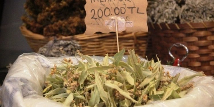 Ihlamur da içemez olduk