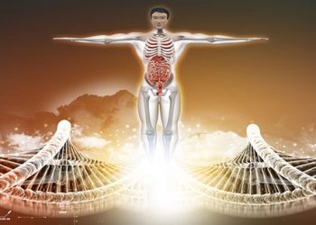 İnsan vücudunda yeni bir organ keşfedildi