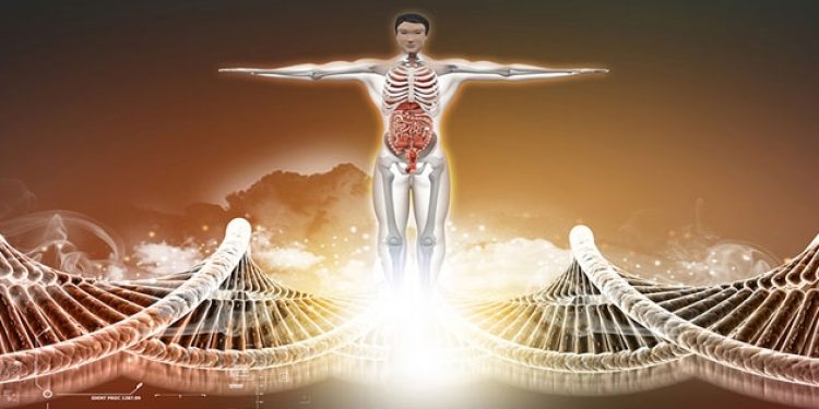 İnsan vücudunda yeni bir organ keşfedildi