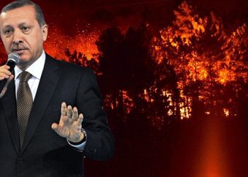 Bunlar hep “Allah’ın lütfu”