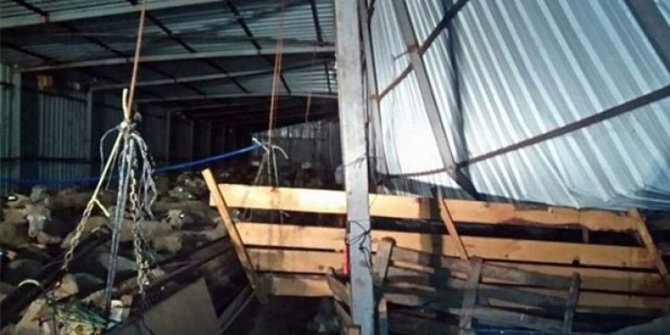 Survivor Türkiye! 5 gün ağılda mahsur kaldı