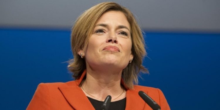 Alman vekil: kimse yanlışlıkla casusluk yapamaz