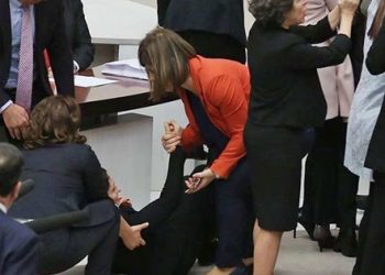 AKP’li vekil CHP’li Şafak Pavey’e saldırdı