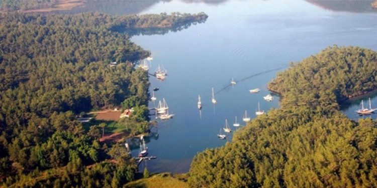 Özal korudu AKP ranta açtı!