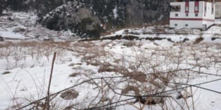 Selden sonra kar vurdu