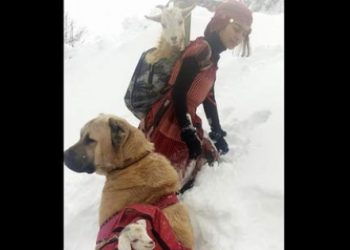 Sosyal medyada en çok paylaşılan o fotoğrafın sırrı