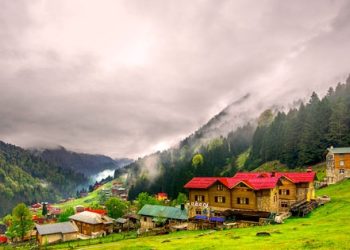 Düğmeye basıldı Ayder talana açılıyor!