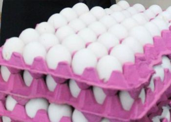 Meğer gezen tavuk değilmiş!