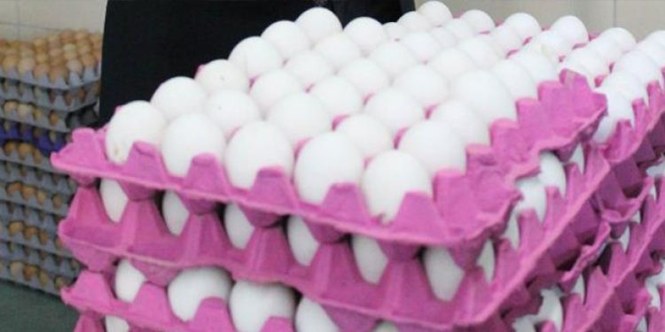 Meğer gezen tavuk değilmiş!