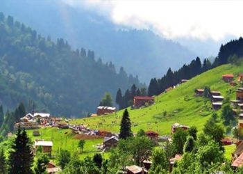 Ve “mücahitler” Ayder’i de talan edecek!