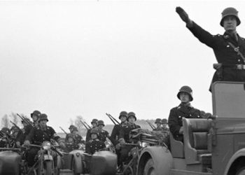 Nazi uzmanından Türkiye analizi