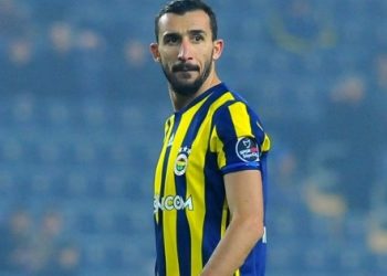 Mehmet Topal: Canım yanıyor