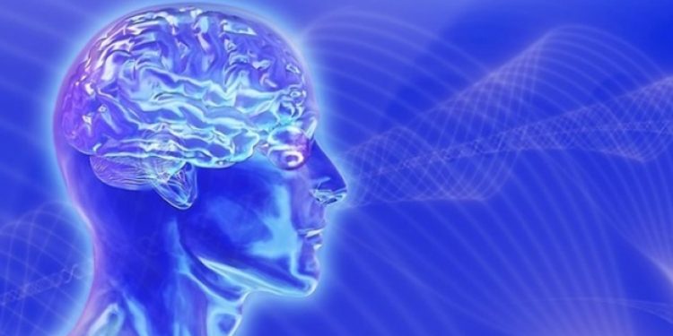 “Ölümden sonra beyin çalışmaya devam ediyor”