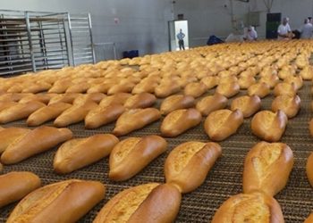 “Ekmeklerin yüzde 80’i GDO’lu”