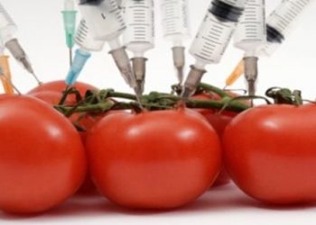 Bakan açıkladı: GDO’LU 112 ÜRÜN VAR