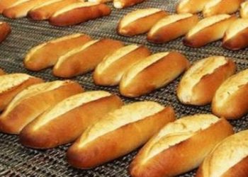 Bakan “GDO yok” dedi