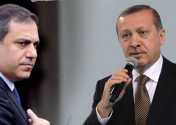 ​Fidan zaten oradaymış!