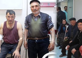 Aç kurt 4 kişiyi yaraladı