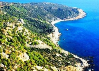 AKP yine rant için yeşile saldırıyor!