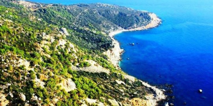 AKP yine rant için yeşile saldırıyor!