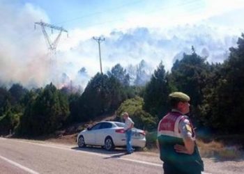Bu da oldu! Piknikçilere terör tutuklaması…