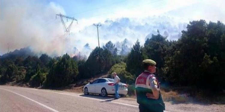 Bu da oldu! Piknikçilere terör tutuklaması…