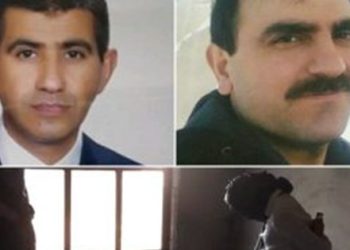 ANKARA’DAKİ BEYAZ TOROSLARIN DETAYLARI