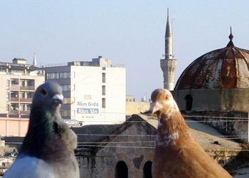 “Türkiye inanç özgürlüğünü en çok kısıtlayan ülkelerden”