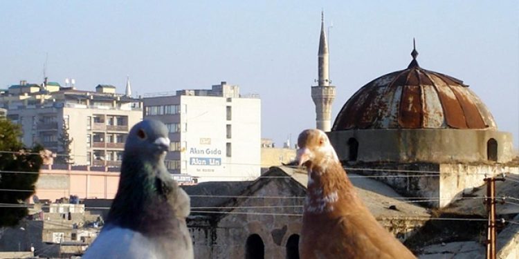 “Türkiye inanç özgürlüğünü en çok kısıtlayan ülkelerden”