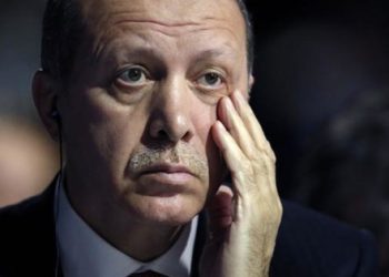 “Erdoğan, İslamcı bir otoriter devlet kurmak için darbe sahneledi”