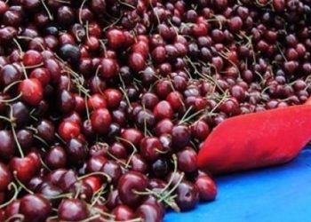 Kiraz yerli, fiyatı yabancı! Kilosu 85 lira…
