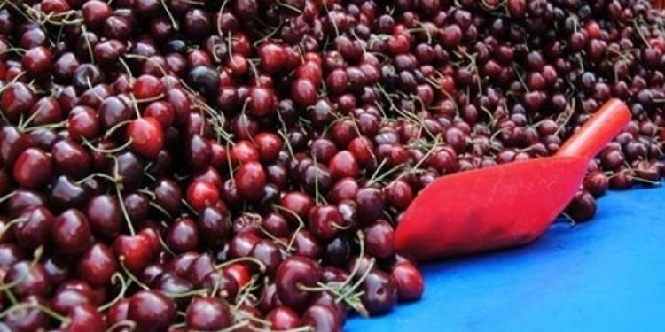 Kiraz yerli, fiyatı yabancı! Kilosu 85 lira…