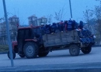 Ankara Büyükşehir Belediyesi ve İŞKUR, işçi sağlığını yok sayıyor
