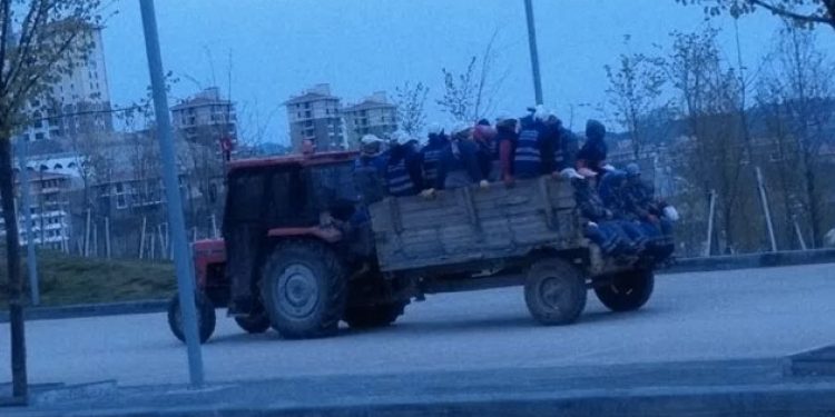 Ankara Büyükşehir Belediyesi ve İŞKUR, işçi sağlığını yok sayıyor