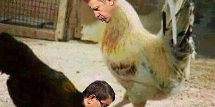 “Horoz tavuktan üstündür, Erdoğan’a hakaret yok”