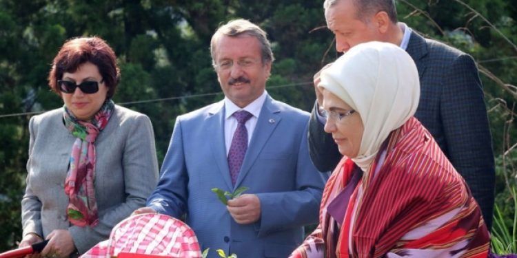 ‘Danıştay Başkanı’nın kızı da VİP hakim yapıldı’