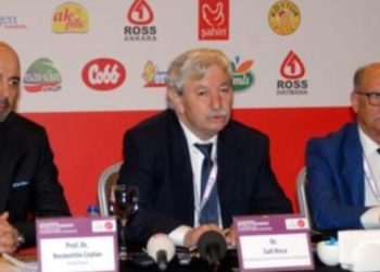 “Organik değil kart tavuk”