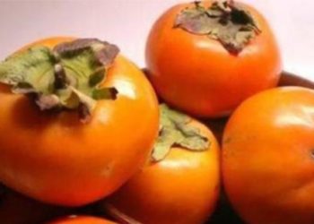 Her gün cennet huması yedi, midesinde kist oluştu