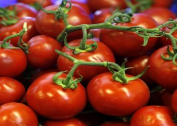 Ülkeye istikrar geldi, domates 10 lira oldu