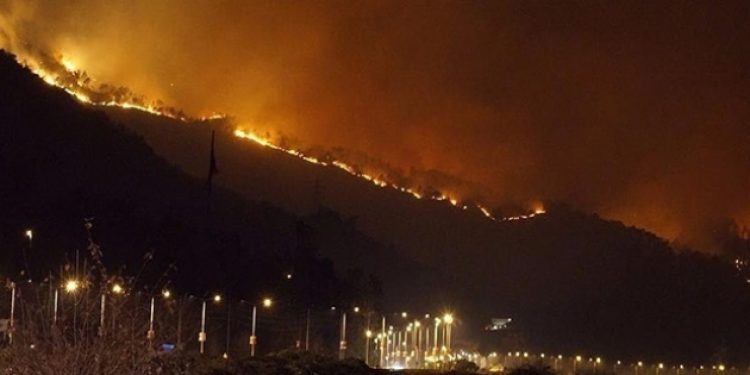 Sürmene’de yanan 20 hektarda villalar yükseliyor