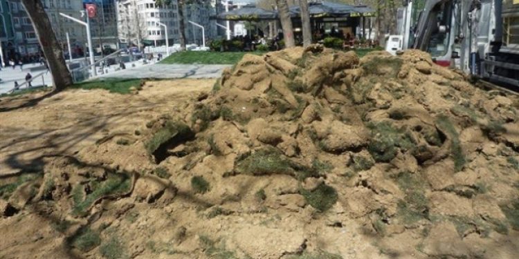Gezi Parkı’nda düzenleme adı altında doğa tahribatı