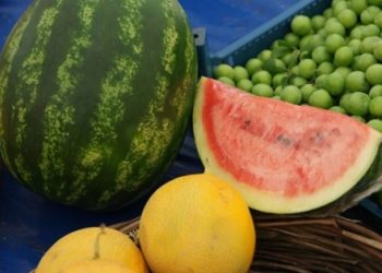 İran karpuzunun çeyrek dilimi 15 lira