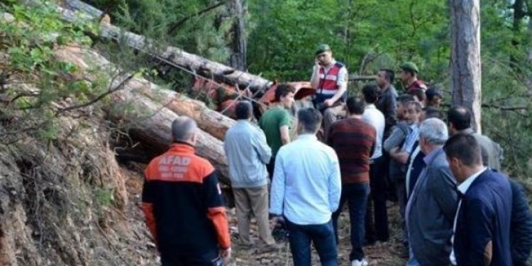 68 yaşındaki içşi ağacın altınca can verdi!