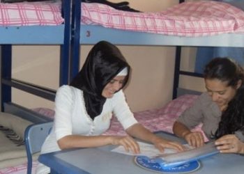 Barınma değil arındırma yönetmeliği