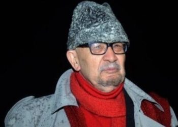 Yalçın Küçük: Perinçek AKP’lidir