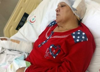 Tartıştığı eşini baltayla darp etti