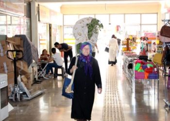 ​Yeşillik olsun diye diktiği ağacı kestiler: Aldı sırtına, belediyeden hesap sordu