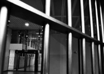 Şafak Pavey Erdoğan’ın cehennem odalarını yazdı!