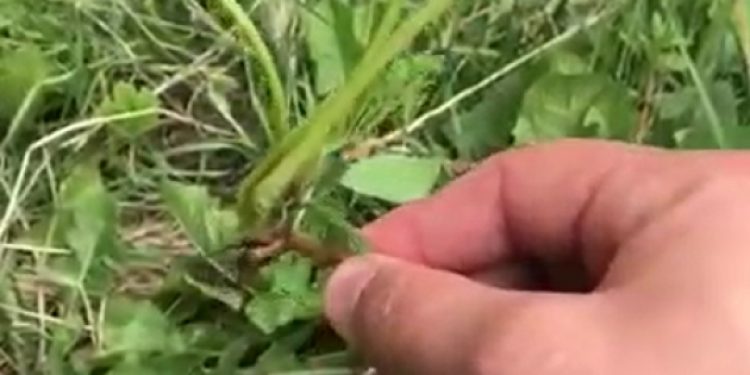 Hizmet ancak bu kadar güzel anlatılabilirdi…